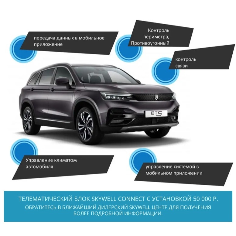 SKYWELL CONNECT — фото 2