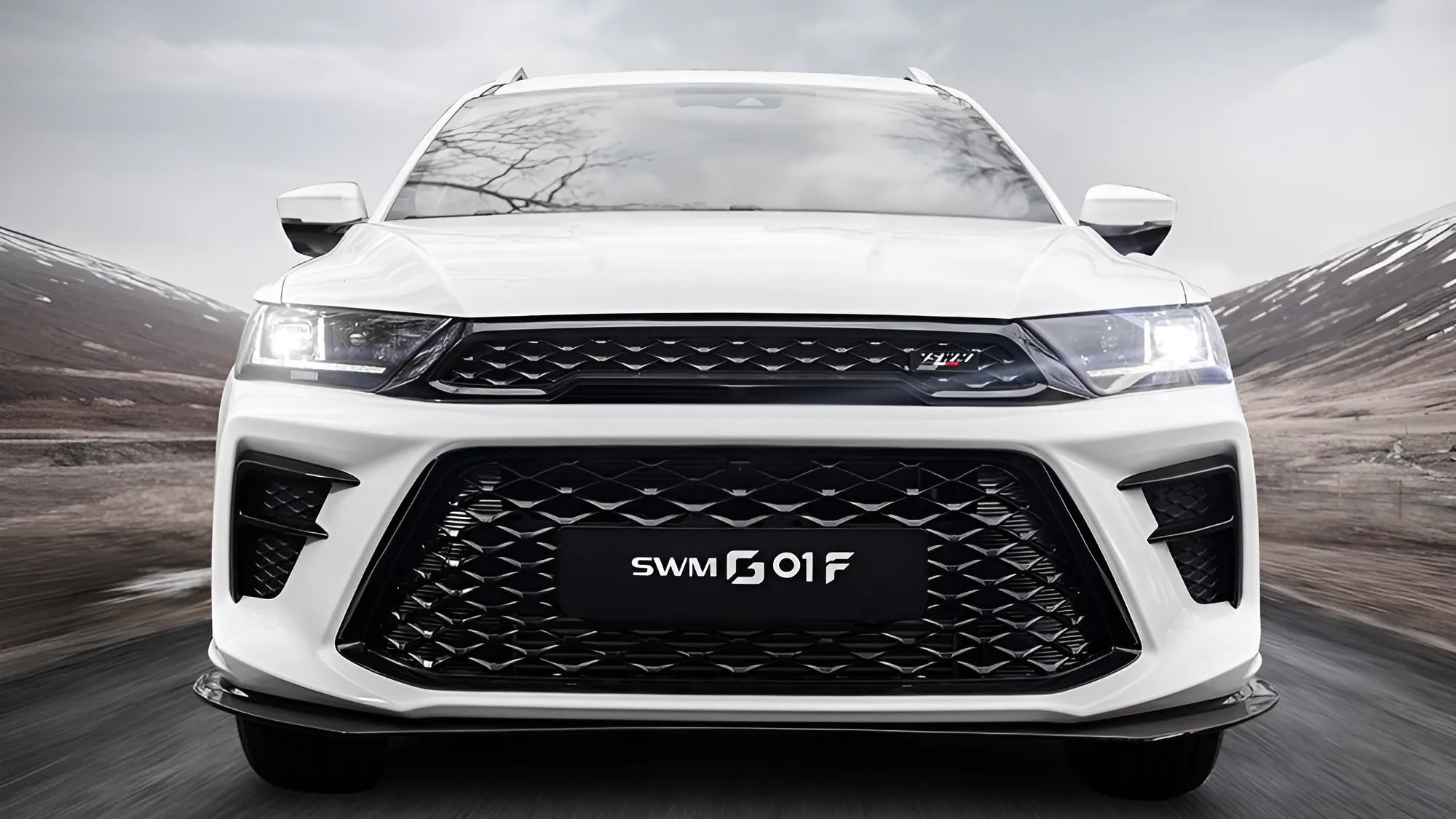 Решетка радиатора SWM G01F — СВМ Г01Ф