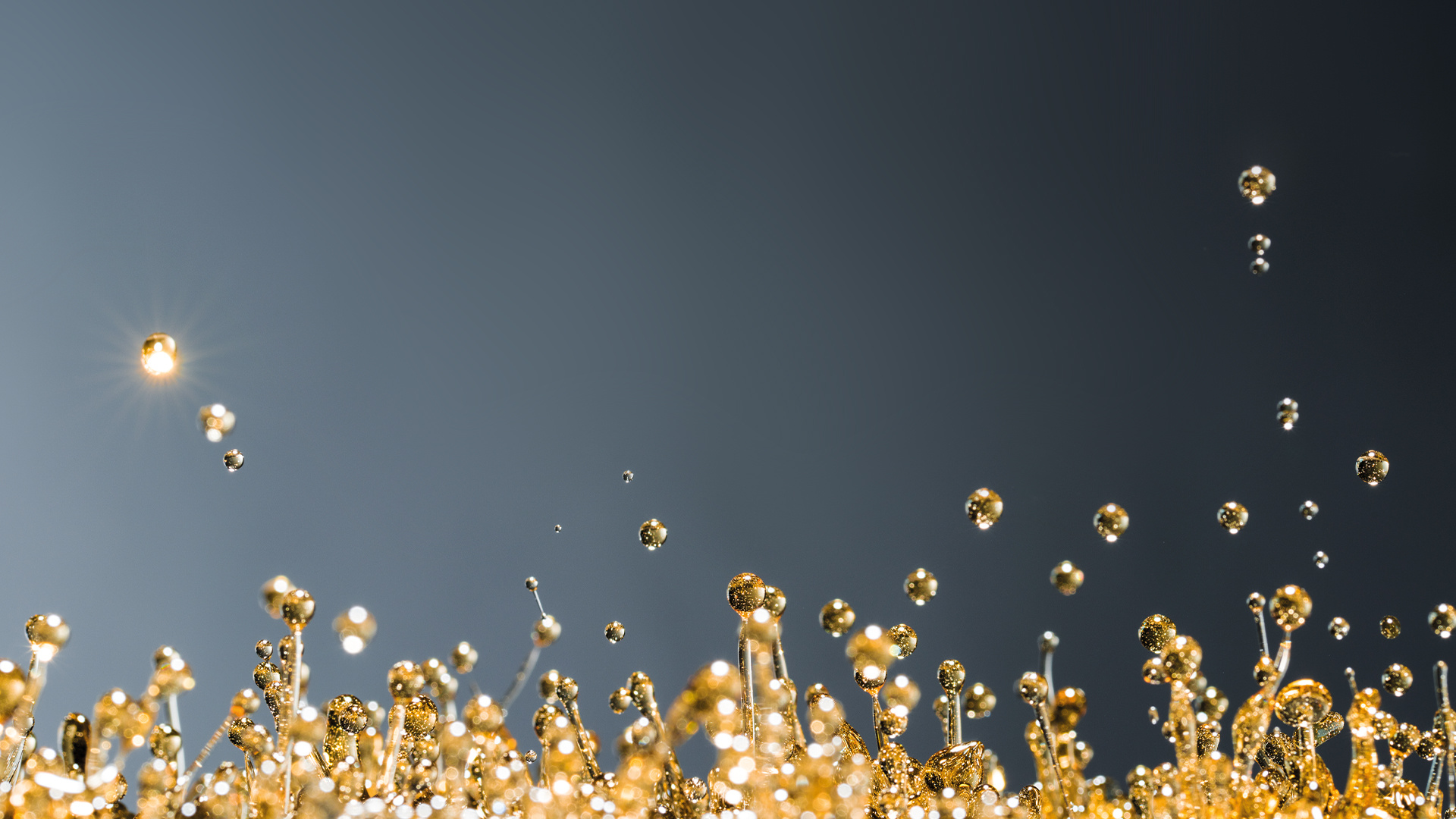 Сохраняем традиции в BMW Евросиб.